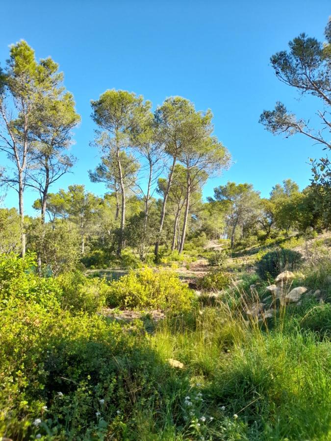 Studio Du Roc Des Garrigues Langlade Dış mekan fotoğraf
